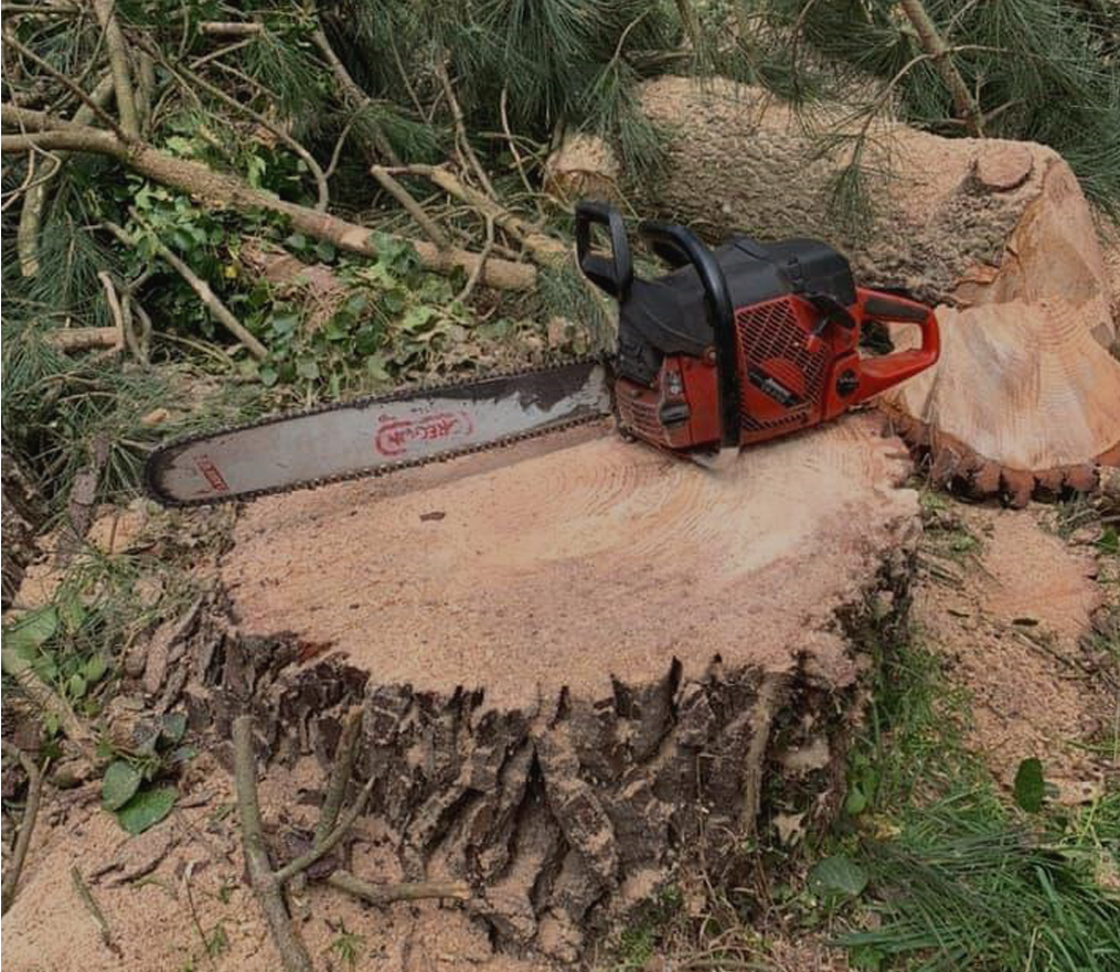 Breizh Élagage Frères : abattage arbre près de Bruz, Montauban-de-Bretagne & Montfort-sur-Meu (35)