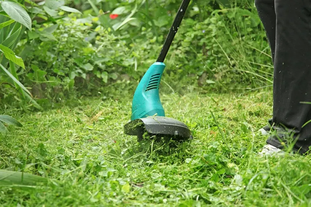 Création et entretien de jardins à La Chapelle du Lou du Lac