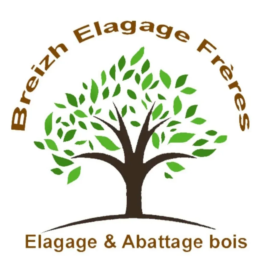 logo-breizh-elagage-freres
